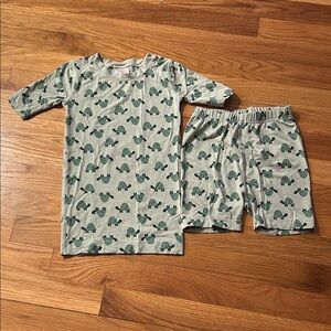 Hanna Andersson Green Turtle Print Kids Pajama Set